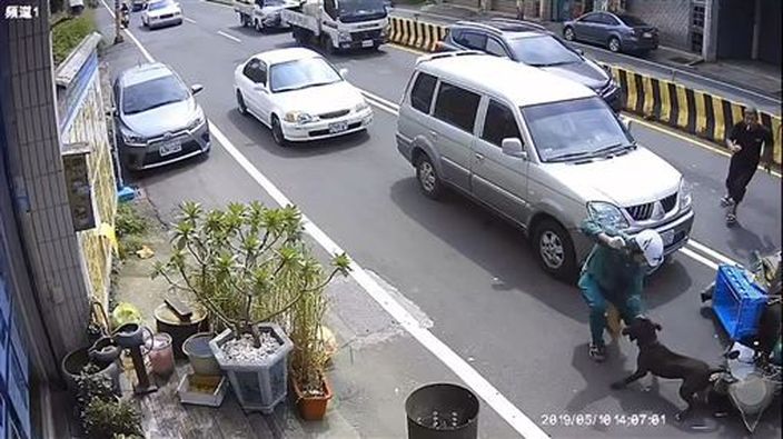 郵差與鬥牛犬拉扯。網圖
