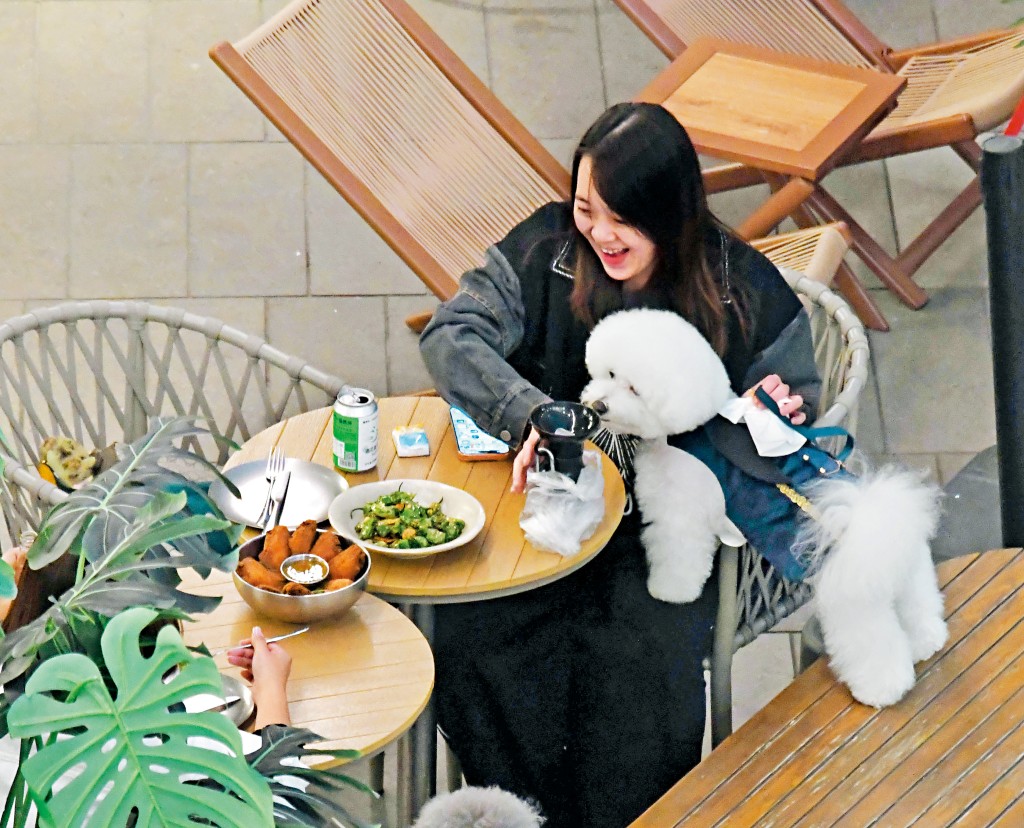 不少有養狗的市民均支持當局允許狗隻進入餐廳的修例。