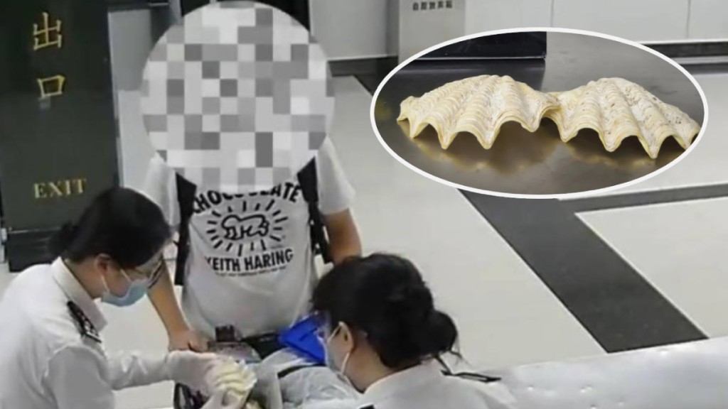羅湖海關在入境男旅客的行李箱,搜出2個瀕危番紅硨磲。海關發布