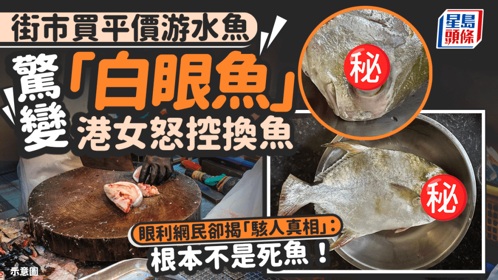 街市買平價游水魚驚變「白眼魚」 港女怒控換魚 眼利網民卻揭「駭人真相」：根本不是死魚！｜Juicy叮