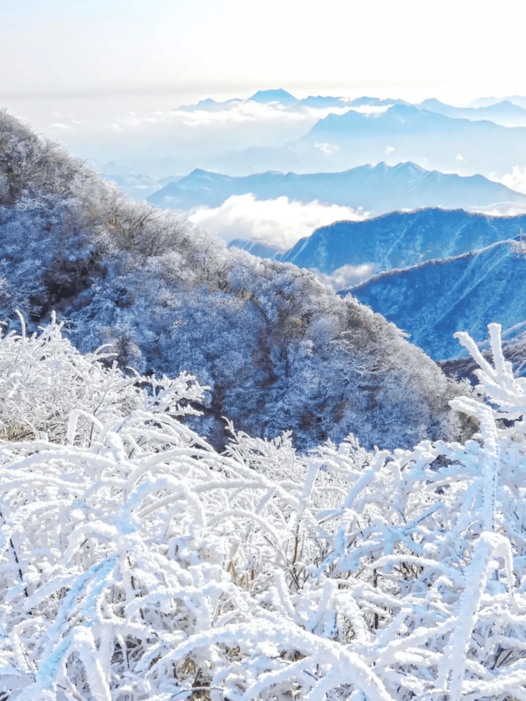 湖南郴州莽山國家森林公園冬季化身成南方罕見的銀白世界(圖片來源:小紅書@扮貓吃鯊魚) 湖南郴州莽山國家森林公園冬季化身成南方罕見的銀白世界(圖片來源:小紅書@扮貓吃鯊魚)
