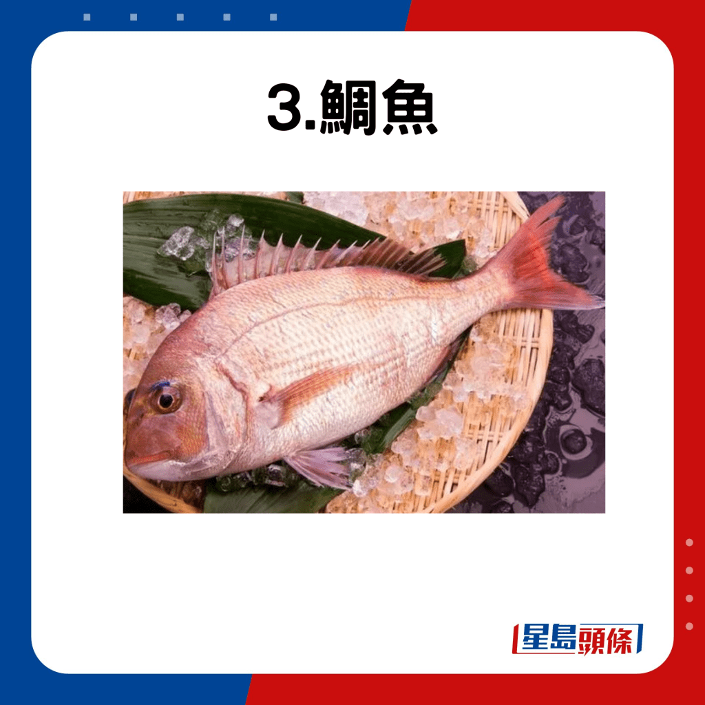 鯛魚