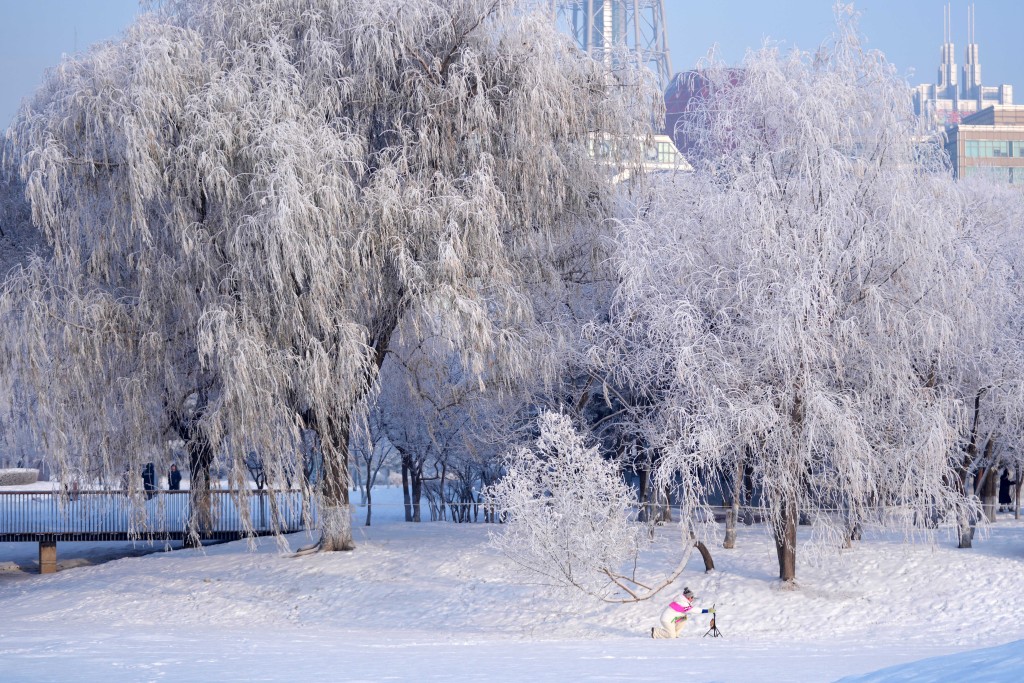 哈尔滨周五全市放假迎冰雪节。（新华社）