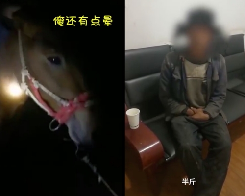 劉男平時很愛飲酒,也是愛馬之人,早前用9800元人民幣買了一批馬回來。網圖