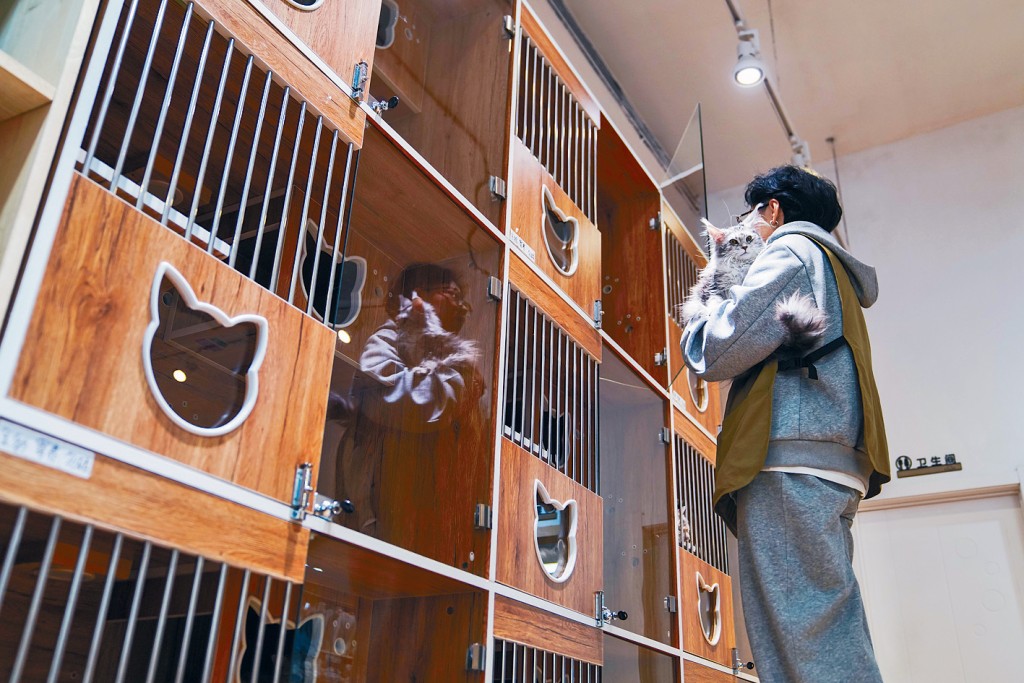 春節前夕，長春的寵物寄養店不斷接單。