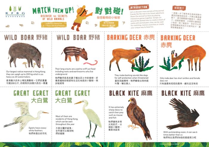 圖片截自嘉道理農場暨植物園網頁。