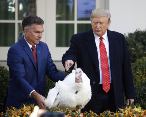 美國總統特朗普在11月26日感恩節，按照傳統「赦免」兩隻火雞，並同時調侃了民主黨的彈劾調查一番。AP