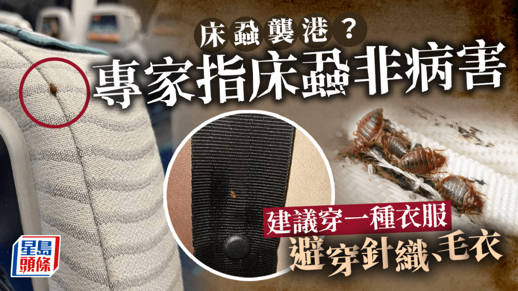 網上流傳照片指港鐵機場快綫及九巴車廂出現床蝨,引起外界關注。