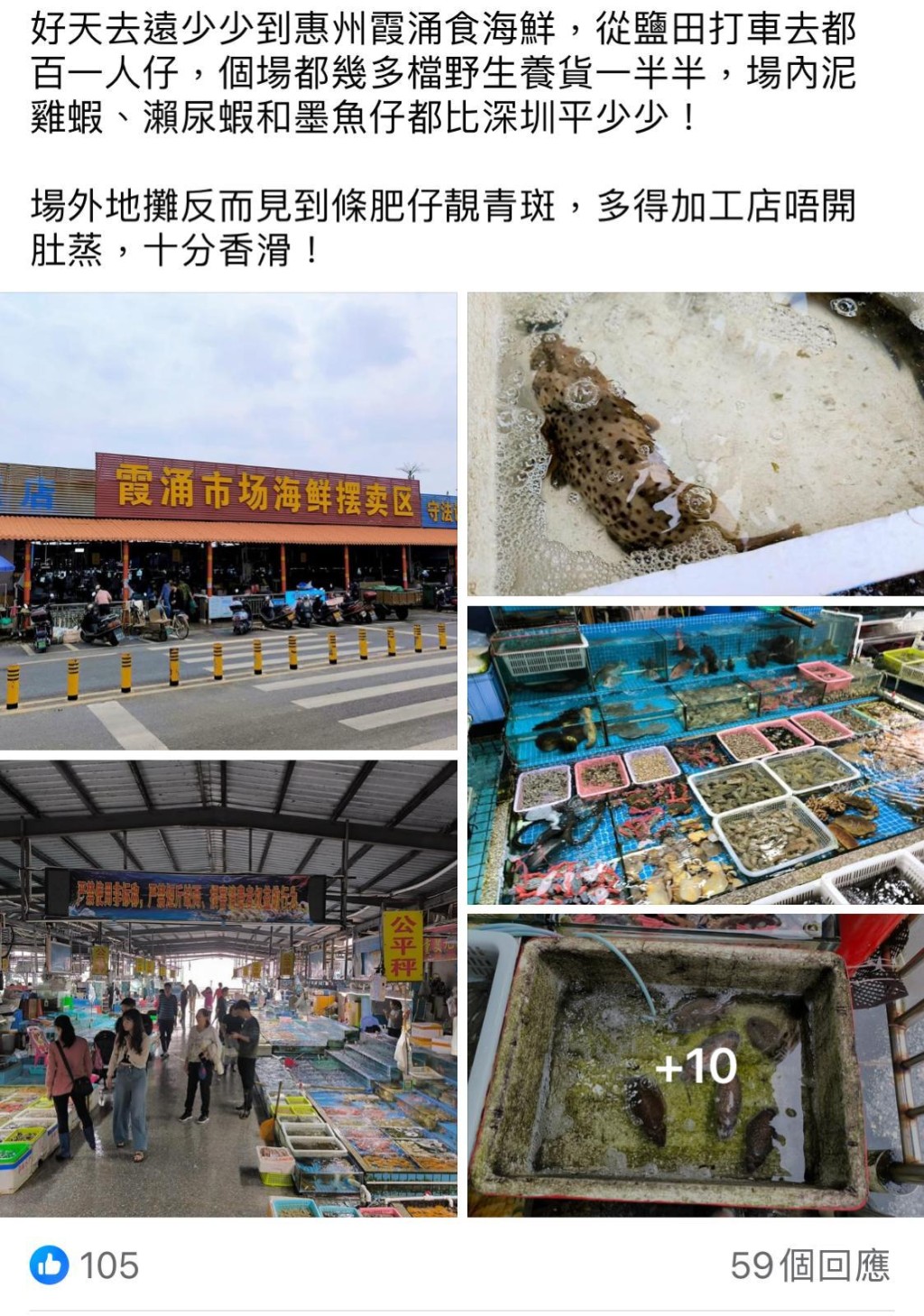 有港人於社交平台分享自己到惠州霞涌食海鮮的經歷（圖片來源：Facebook@深圳大灣區國內吃喝玩樂開心分享區）