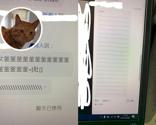 家貓誤打誤撞在電腦上打字。「天下貓貓一樣貓」群組網民Tracy Chiu 圖片