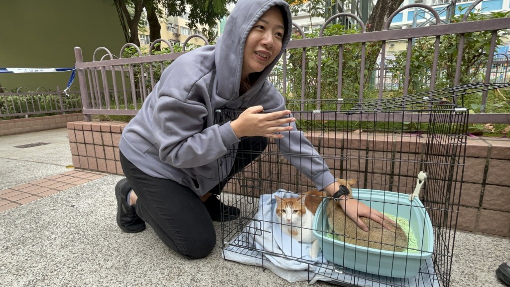 黃小姐帶同2隻貓走火警，最後人貓安全。