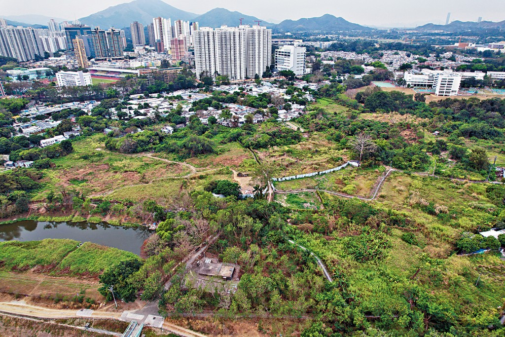 新地發展的粉嶺北第10區項目，獲准建2幢16層高商住大廈。