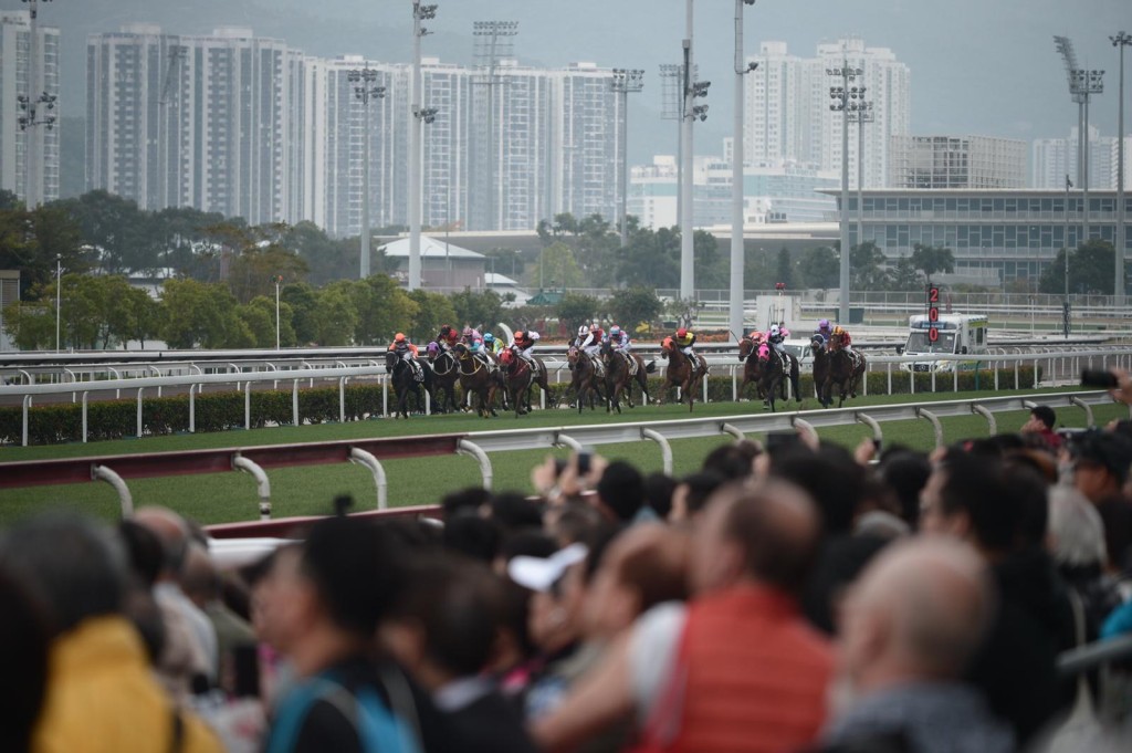 九巴今日除維持原有的872線外,亦新推出872X號巴士線,接載馬迷到大埔中心總站。