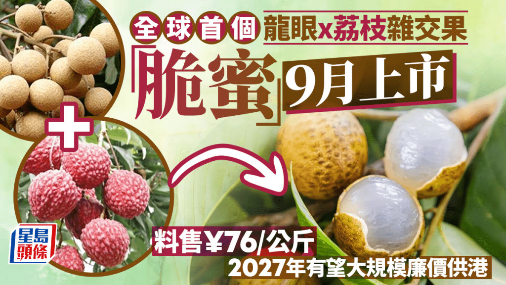 全球首款龙眼荔枝杂交果「脆蜜」9月上市  售价每公斤¥76元