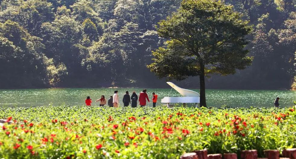 廣州春節好去處2024｜石門國家森林公園 景色迷人，春天雲霧繚繞，繁花爛漫，原始次生林畔有天池花海。（圖片來源：Trip.com）