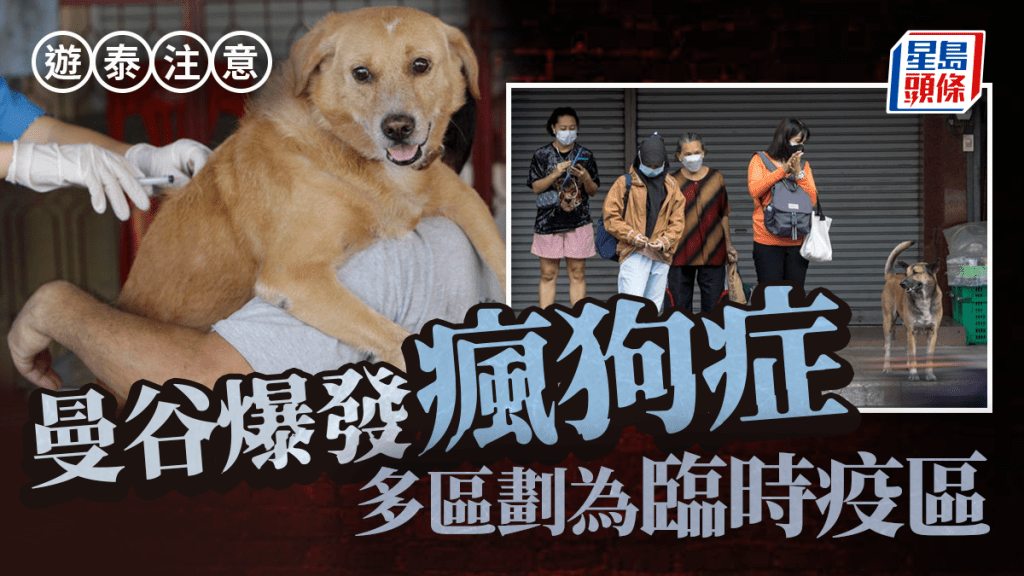 遊泰注意 | 曼谷爆瘋狗症疫情 部分地區劃為臨時疫區