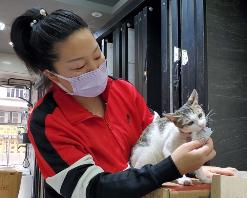 女主人將愛貓「可樂」又抱又攬。