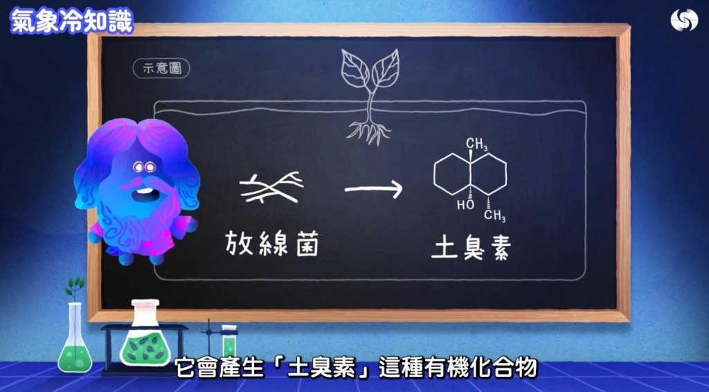 香港天文台《氣象冷知識》「汪汪夢裏聞:下雨的味道」截圖。 香港天文台《氣象冷知識》「汪汪夢裏聞:下雨的味道」截圖。