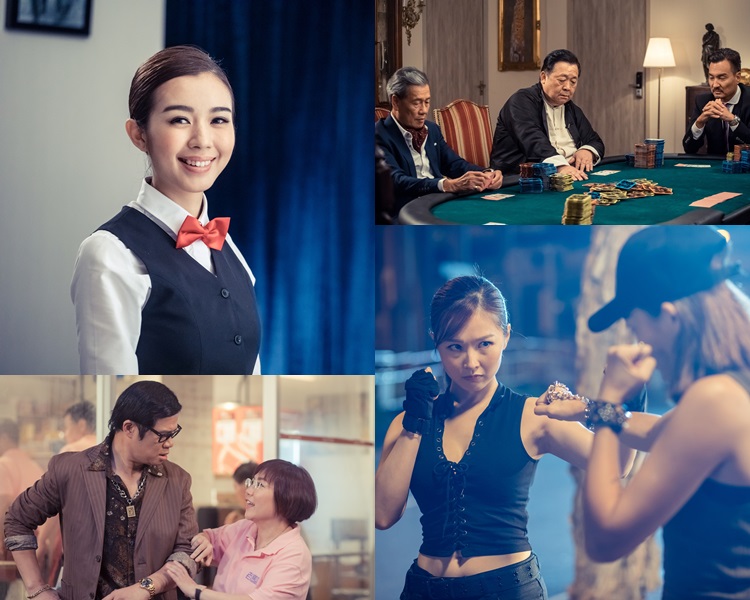 《我的情敵女婿》劇照