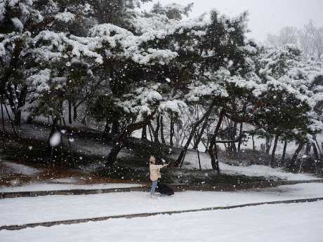首尔一个公园周六有游人在大雪中自拍。路透社