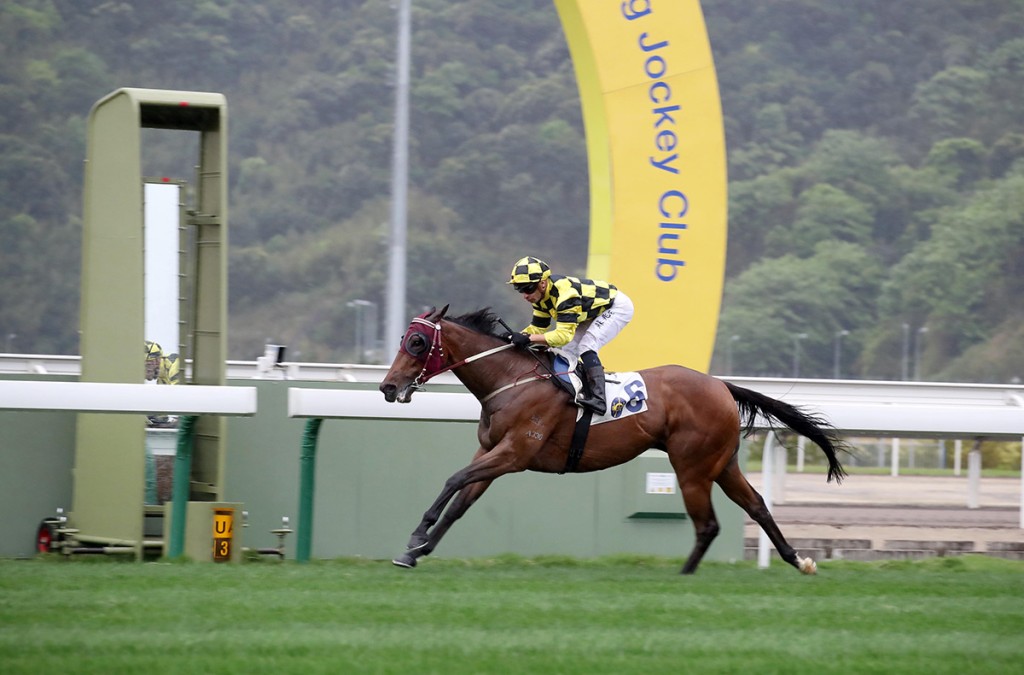 馬會從化馬場預料將由2026年10月起舉辦常規賽事。(馬會網站圖片) 馬會從化馬場預料將由2026年10月起舉辦常規賽事。(馬會網站圖片)