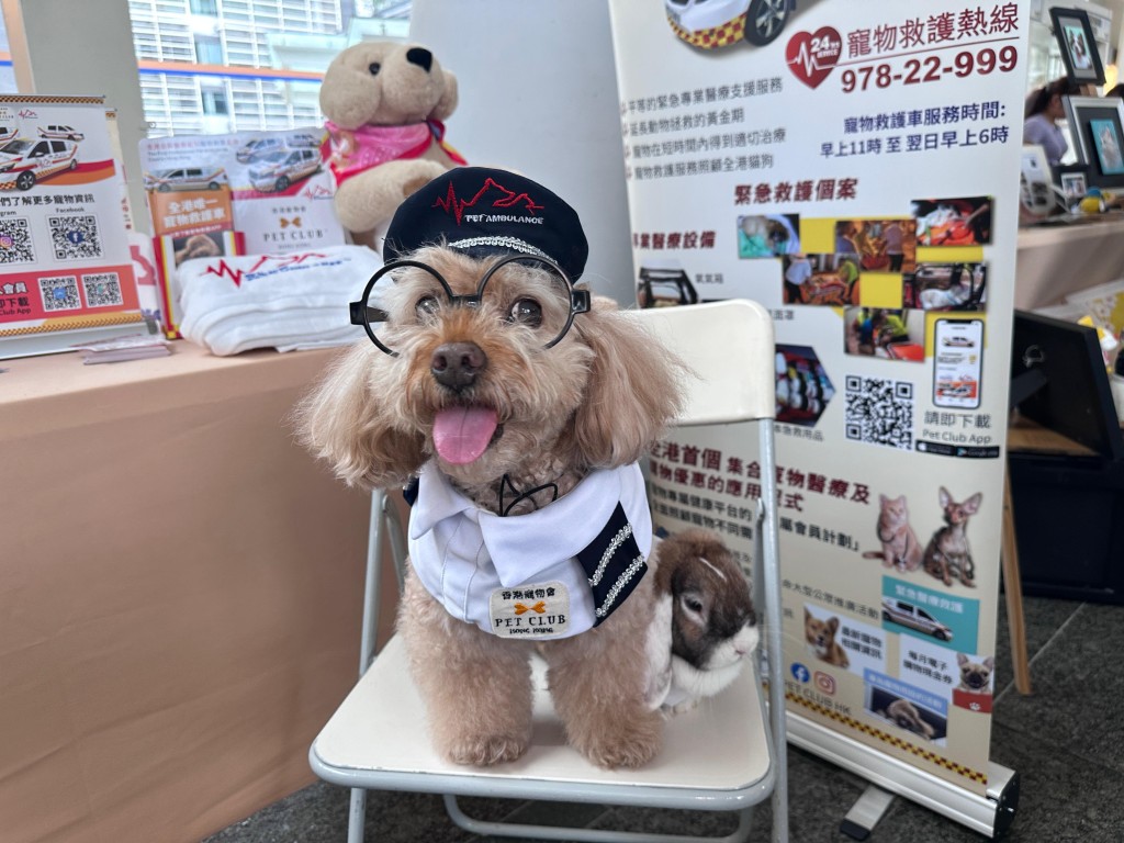 以照顧動物「醫、食、住、行」為主題的市集。 以照顧動物「醫、食、住、行」為主題的市集。