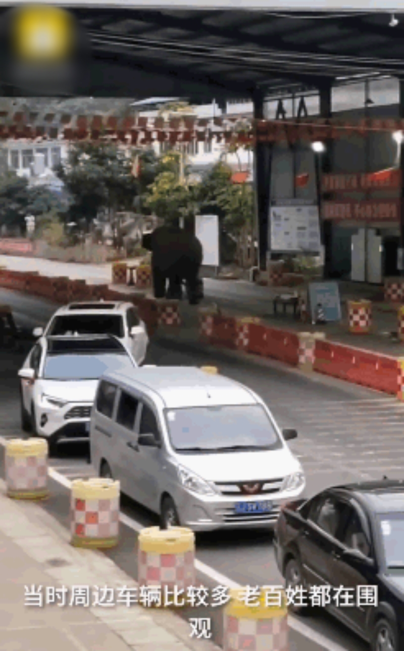 司機棄車避走。網圖