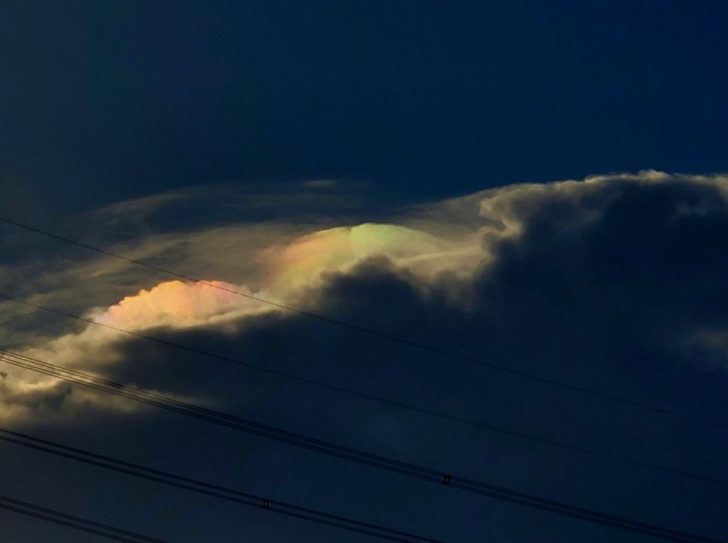 大埔虹彩「幞狀雲」。fb「社區天氣觀測計劃 CWOS」Florence Lee圖片