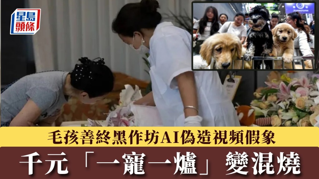 毛孩善终黑作坊无牌改装面包车混烧遗体，AI伪造「一宠一炉」视频假象。 封面新闻/中新社