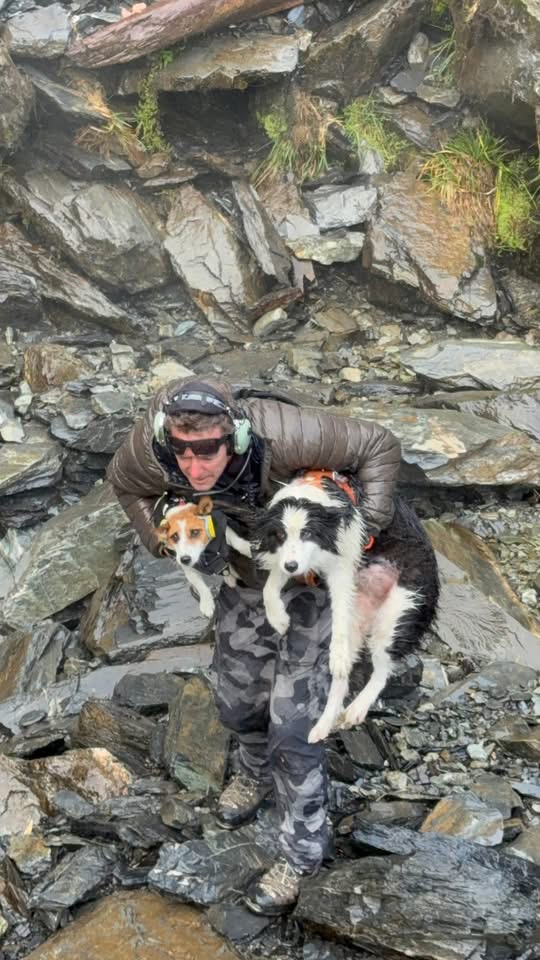 救援人員成功抱走莫莉（Molly）。 Precision Helicopters