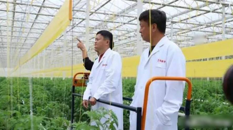 馬雲正聽着工作人員講解。互聯網圖片