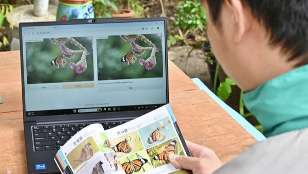 大埔鳳園引入AI系統 目標兩年內訓練系統辨認245種蝴蝶 強化保育。政府新聞處