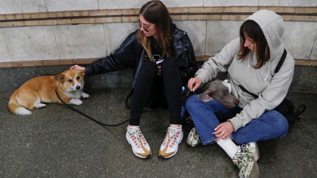 基辅响起空袭警报，妇女带同爱犬躲进地铁站避难。路透社