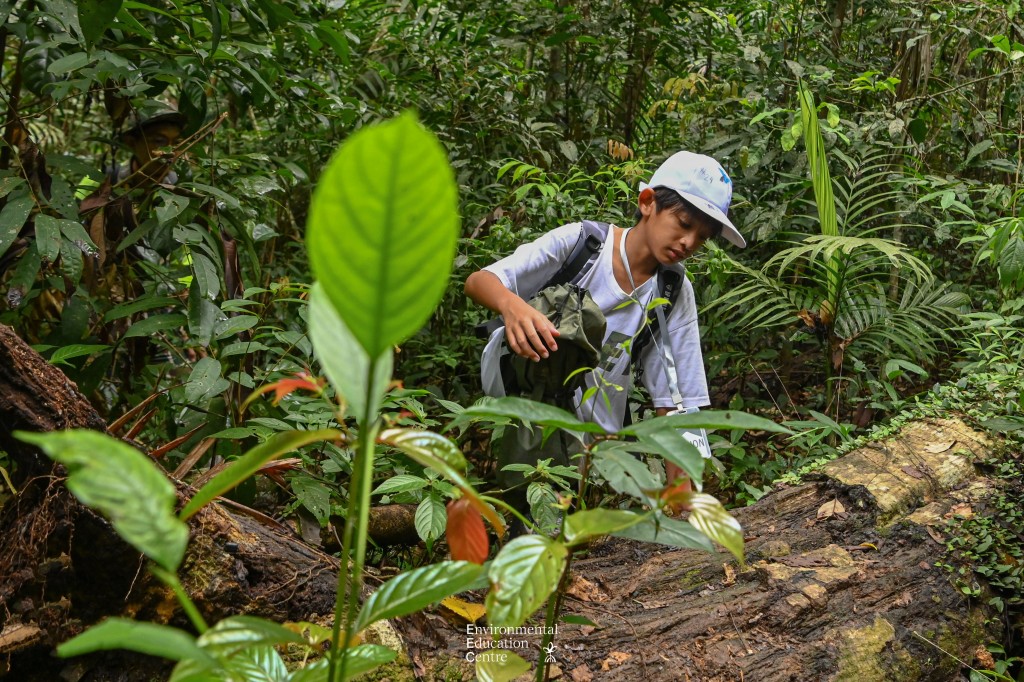 走進大自然的真實教室,小朋友在森林小徑中仔細尋找動物足跡,不知不覺間鍛鍊出耐性與專注力。 走進大自然的真實教室,小朋友在森林小徑中仔細尋找動物足跡,不知不覺間鍛鍊出耐性與專注力。