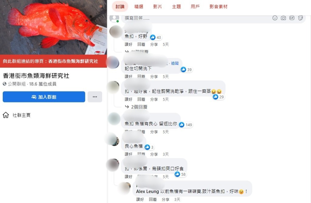 網右留言紛紛讚魚扣是美味食材。fb香港街市魚類海鮮研究社
