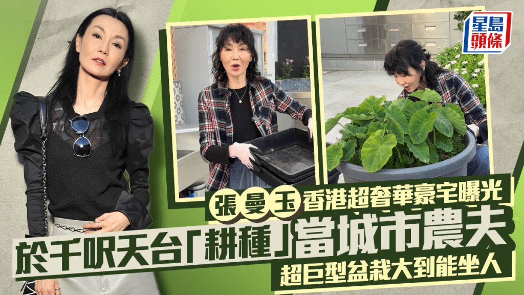 張曼玉香港超奢華豪宅曝光  於千呎天台「耕種」當城市農夫  超巨型盆栽大到能坐人