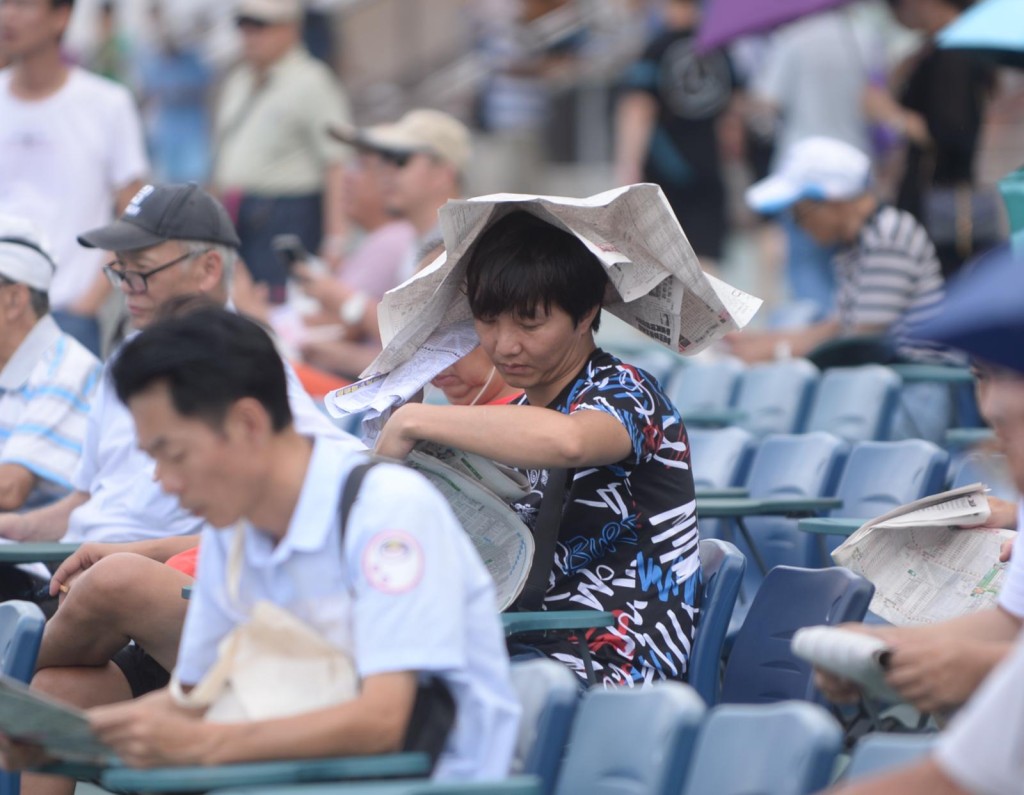 沙田馬場大批馬迷及遊客入場
