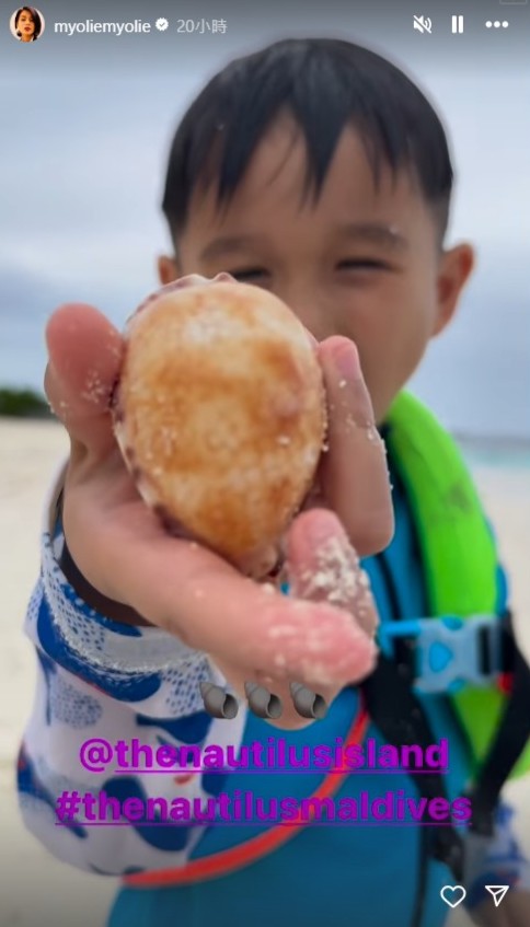 胡杏兒的囝囝去執貝殼。