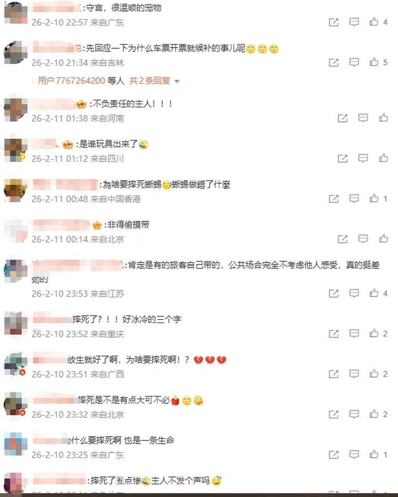 網民炮轟寵物主人及列車工作員。