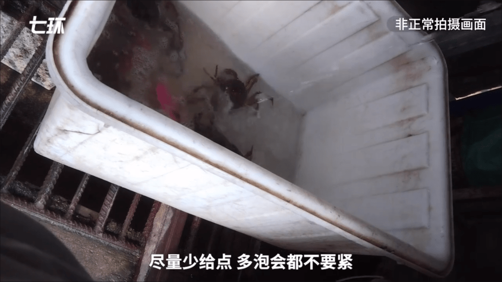 浸洗中的螃蟹。（影片截图：澎湃新闻）