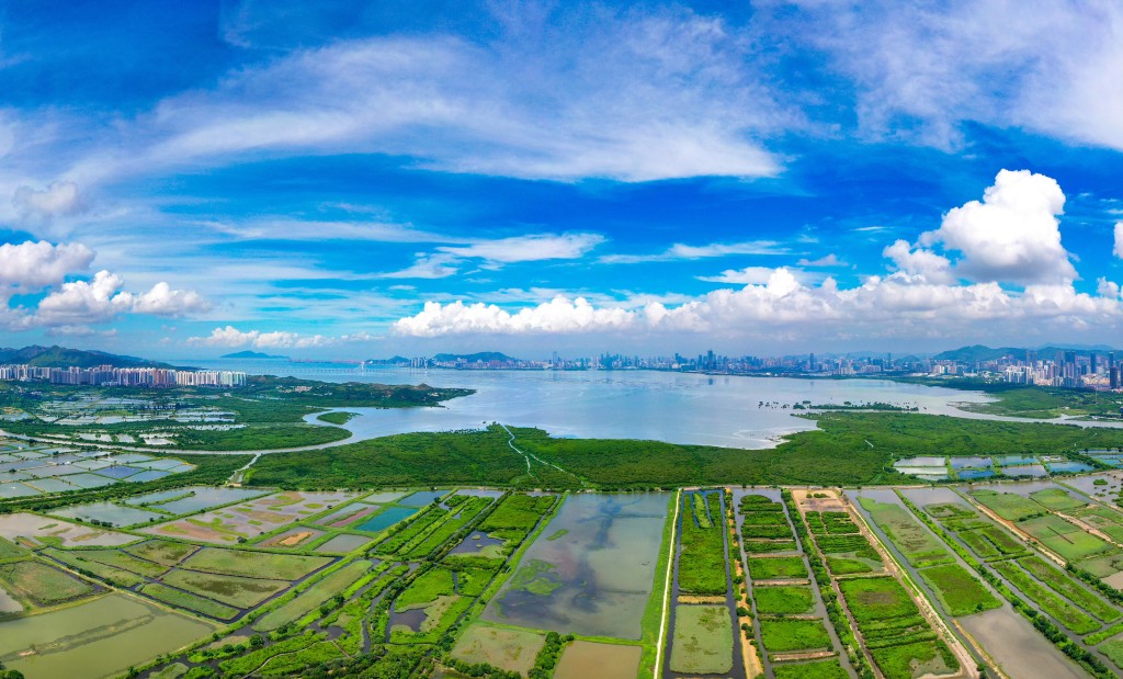 政府正積極推進於北部都會區設立面積比現時香港濕地公園大五倍的三寶樹濕地保育公園。謝展寰網誌