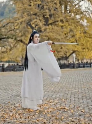 湖北省隨州市文旅局局長解偉在當地銀杏景區宣傳片中的「古風」造型，引來不少網民的負評。