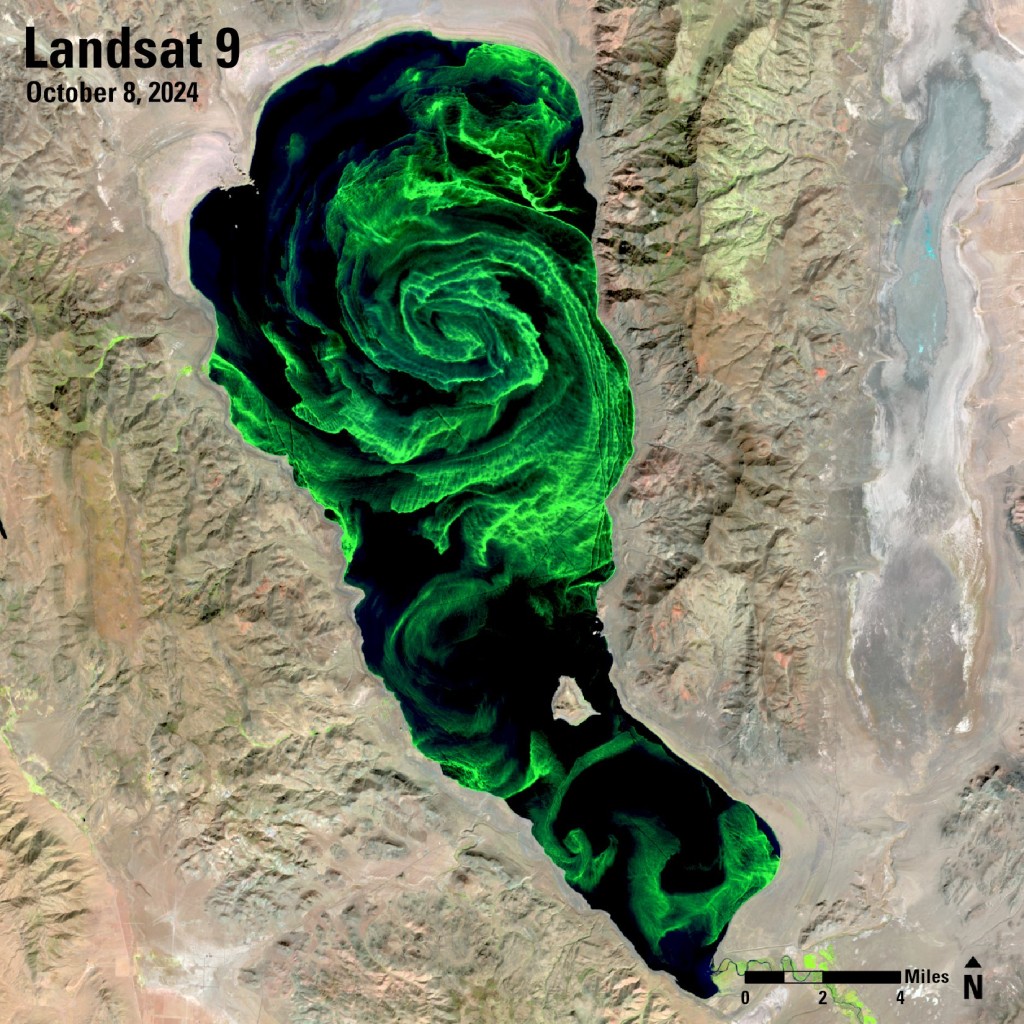 金字塔湖出現神秘綠色漩渦。（X@USGSLandsat）