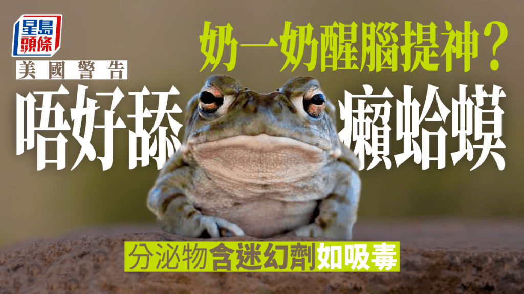美國國家公園管理局警告民眾「勿舔蟾蜍」。Twitter圖