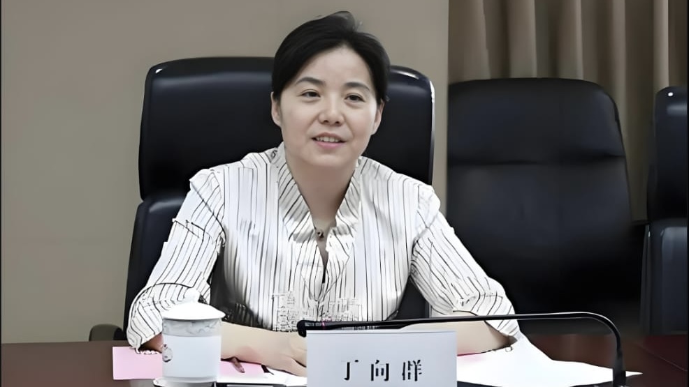 丁向群