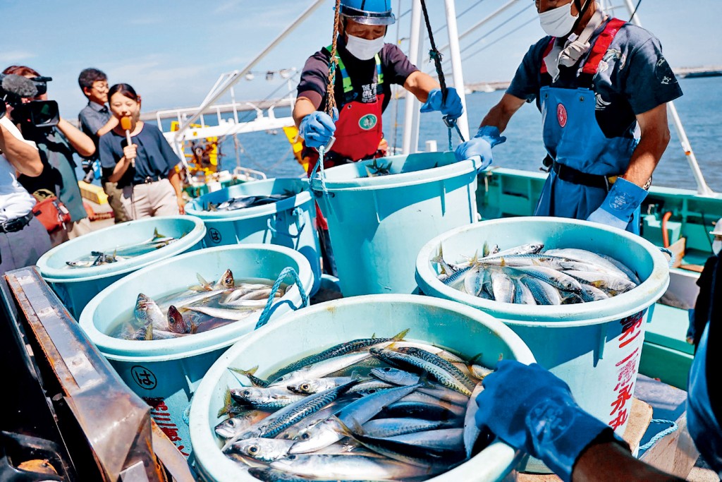 日本福島漁民捕獲的水產品。