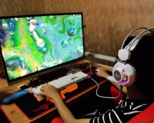 調查指2成青少年日均打機5小時。 網圖