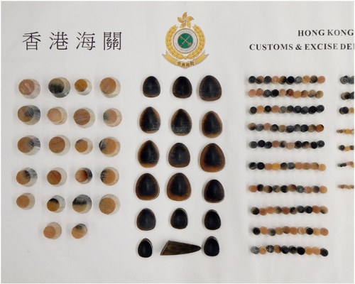 海關檢獲的懷疑犀牛角切片，估計市值約62萬元。