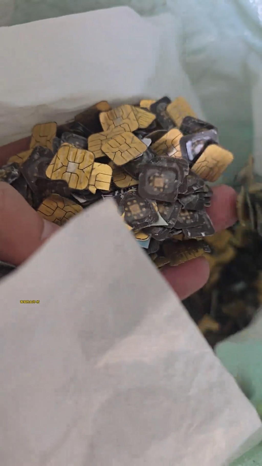 男子將舊SIM卡提煉出黃金。抖音@客家煉金師-橋 男子將舊SIM卡提煉出黃金。抖音@客家煉金師-橋