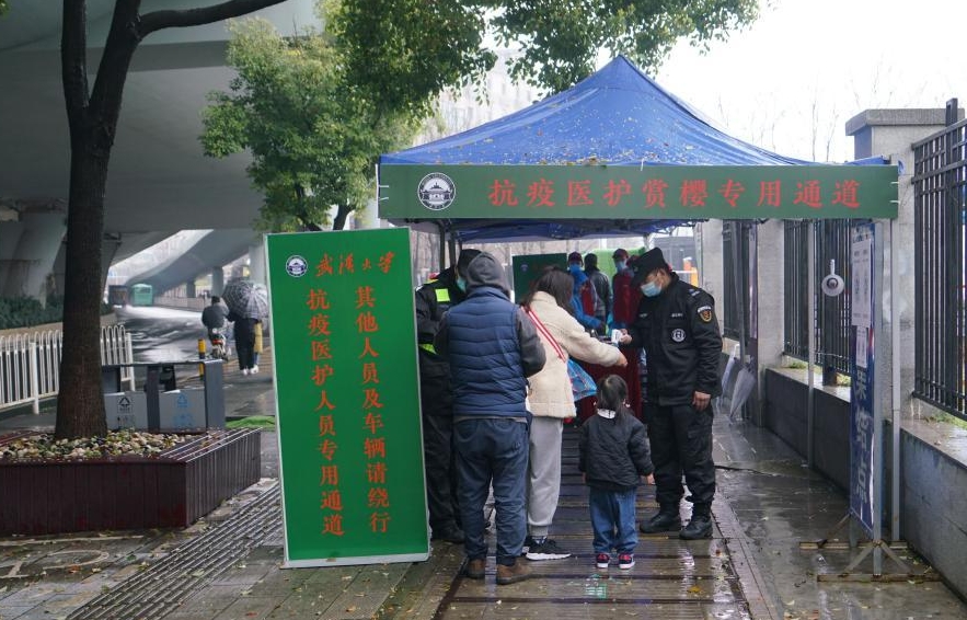 武漢大學的「抗疫醫護賞櫻綠色通道」。